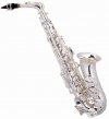 SAX ALTO SCHATZ